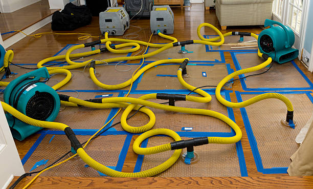 Professional Basement Flood Cleanup technician working in Audubon, IA